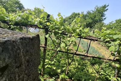 Kamsas - teren 2303 mp - deschidere 41.2 ml - 1