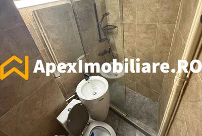 Apartament 2 camere de inchiriat Cismigiu București | ApexImobiliare.ro - 6