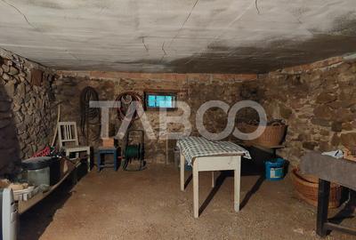 Casa de vanzare cu 2 apartamente separate si teren 544 mp Cisnadioara - 28