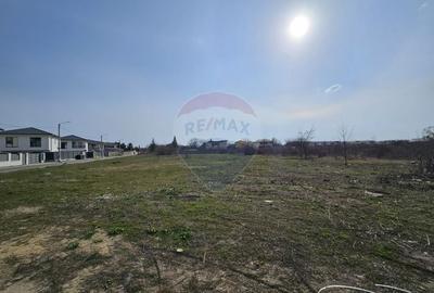 Teren 5,325mp Otopeni , Strada Grivita 53 - 4