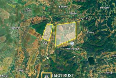 Terenuri agricole de vânzare în Arad – Comuna Tăuț - 1