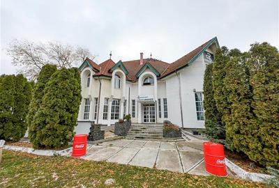 Potential imobiliar remarcabil, recomandat domeniului Petrolier si HoReCa, DN11, - 10