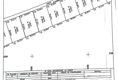 Vanzare teren intravilan Cernica_Tânganu, lot 954mp - 7