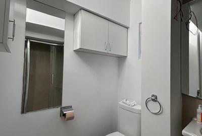 Apartament 3 camere in zona Calea Victoriei-Piata Amzei - 14