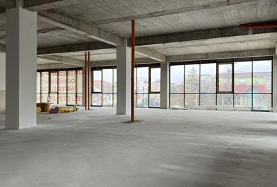 Spatiu Comercial-Birouri, 300mp, Et. 1, Cal. Torontalului - Bulevard! - 4