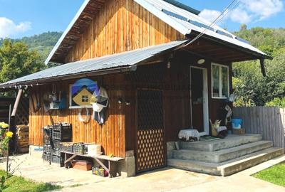 CASA + HALĂ  comuna ALEXANDRU cel BUN - 1