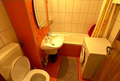 Inchiriere Apartament 3 camere Decomandat Gorjului-Pacii - 17