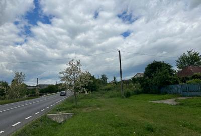 (302) Teren pentru dezvoltatori case Albota, langa Pitesti - 5