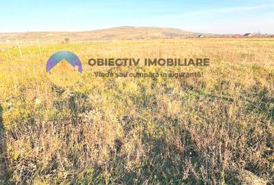 TEREN intravilan 10.000 mp  PIATRA-NEAMȚ - 4