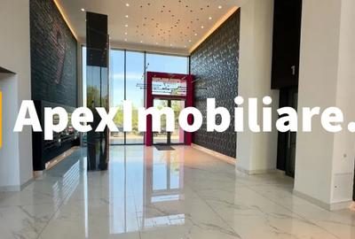 Garsoniera de inchiriat Aviatiei București | ApexImobiliare.ro - 10