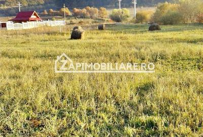 Teren 780mp, PUG aprobat, Livezeni,drum asfaltat - 13