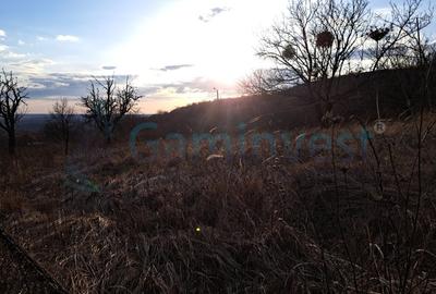 Teren intravilan de 3250 mp in Podgoria, de vanzare, Bihor - 1