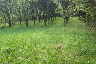 Statiunea  Breaza  Vanzare Vila(Pensiune)+10 camere - 3