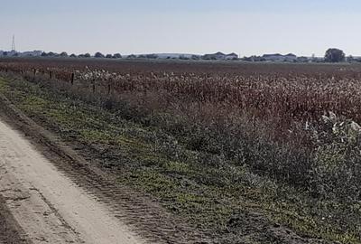 OCAZIE : INTRAVILAN com. MURIGHIOL - 19 euro/m.p. Deschidere Dunare  74 m. - 9