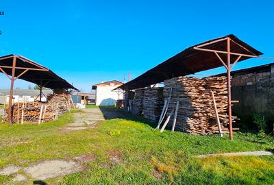 Complex imobiliar format din cladiri si constructii industriale+teren intravilan - 9