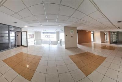 Inchiriere spatiu comercial Pantelimon - Piata Delfinului, Bucuresti - 16