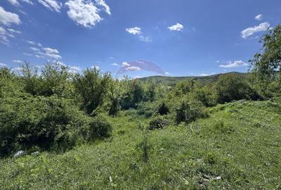 Domeniu de vânzare in Urlați Prahova - 5