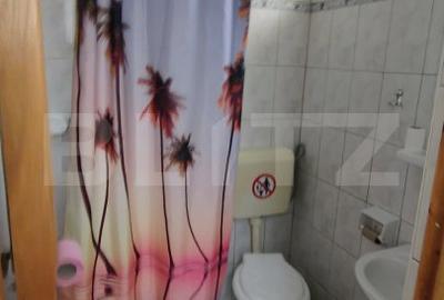 Casa Interbelică de Vânzare în Predeal - 6