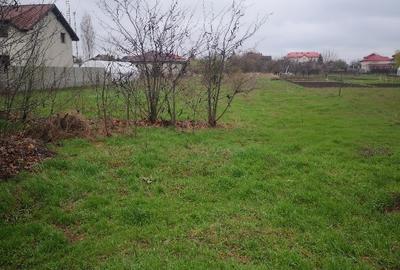 Teren de vânzare – Cornetu, Ilfov – Strada Bradului - 3