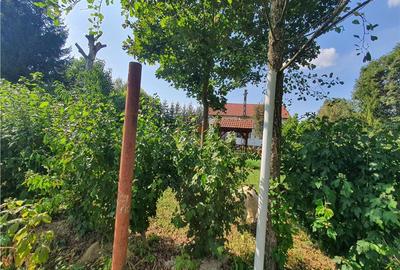 Teren intravilan - ultimul lot de 698mp in Sacel - zona lacuri - 12