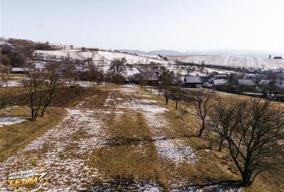 Teren Construcții intravilan de 2819 mp, în Mereni