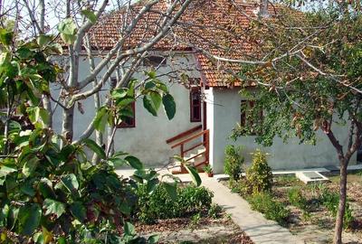 Conac boieresc - 5 camere - Nicolae Balcescu - 105.000 euro (Cod E11) - 4
