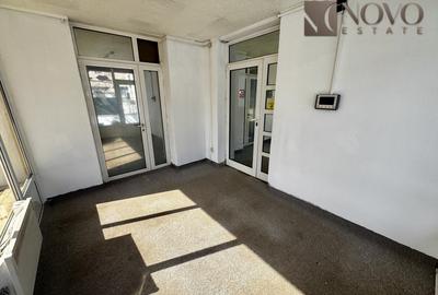 8 Camere | Herastrau | 335 mp utili | Teren 300 mp | - 10