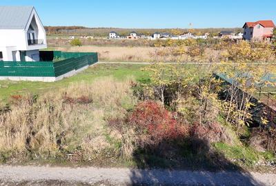 Teren Intravilan Branesti direct proprietar.FARA COMISION - 1