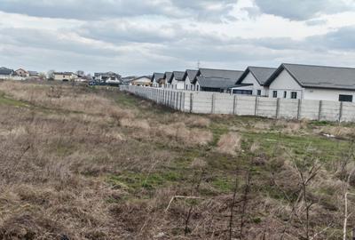 Comuna Berceni-Ciresilor-teren dezvoltare imobiliara - 13