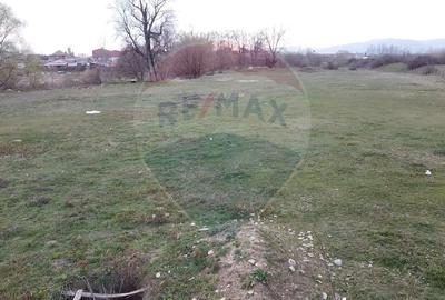 Teren 6,010mp Sebes / Strada Nicolae Balcescu - 4