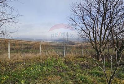 Teren extravilan 10,791mp Falticeni / Strada DJ209A, Opriseni - 12