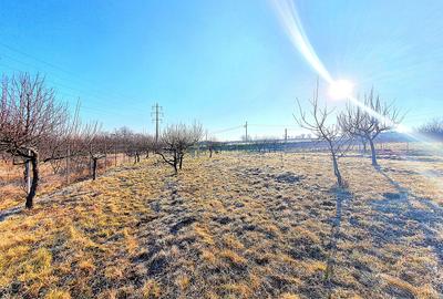 Descoperă Terenul Ideal: 390mp în Daia, Sibiu - 1