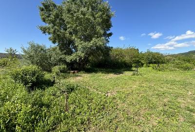 Teren Bujoreni Olteni - 5