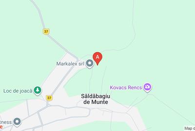 Casa tip container Saldabagiu de Munte - 1