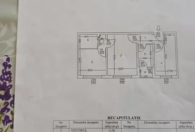 Apartament 3 camere Drumul Taberei - 9