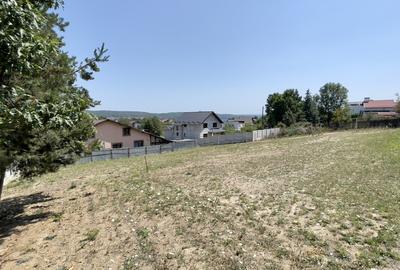 Teren Intravilan de Vis în Bascov, la Marginea Pădurii! - 5