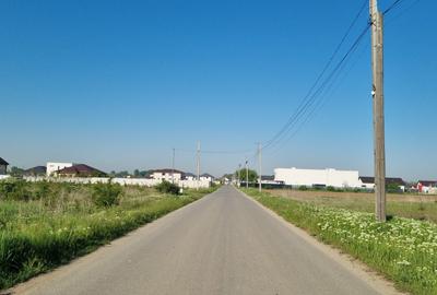 Teren 10.000 mp Clinceni – Deschidere la drum principal | Zonă mixtă - 3