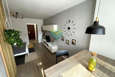 Garsoniera renovata modern str Nada Florilor - Teiul Domnei - 36