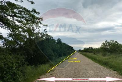 Teren 3,700mp Gulia/DN7 -20 km fata de Pta Victoriei -ideal investitie - 4