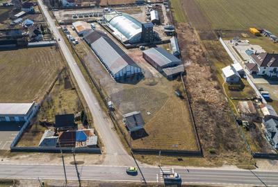 Hale industriale de închiriat în Tg Neamț - 1