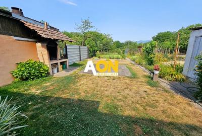 Proprietate cu potențial mixt - locuință și spațiu de lucru în Partoș - 3