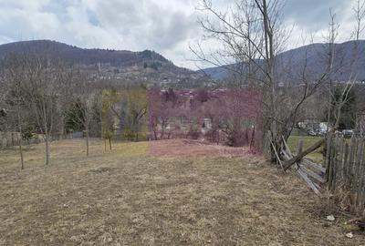 Teren intravilan de vanzare in Valea Doftanei - 6