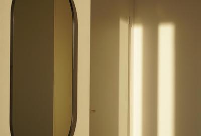 ISHO, Vedere panoramica, in vecinatatea Universitatii de Medicina - 4