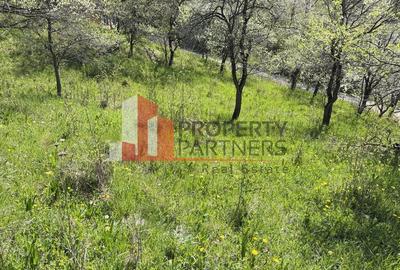 Teren 2500 mp Sohodol - 16