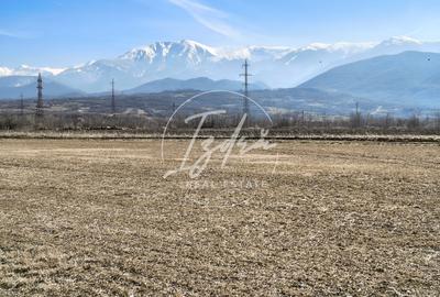 Teren agricol extravilan de 2800 mp, în Periferie