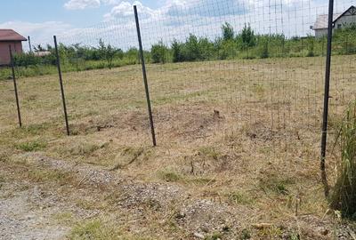Teren intravilan de vânzare, Mogoșoaia Str. Garoafelor, 1.365 mp, Deschidere 39m - 3