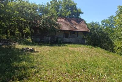 0 Comision Teren 1760 mp cu casa-Corusu, com Baciu, intravilan - 5