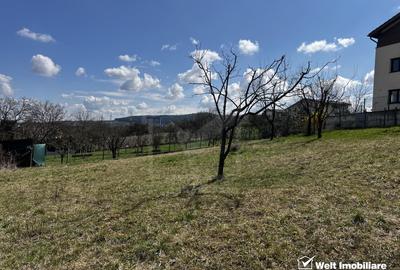 Teren 608mp pt duplex , HCL si PUZ, cartier Europa - 1