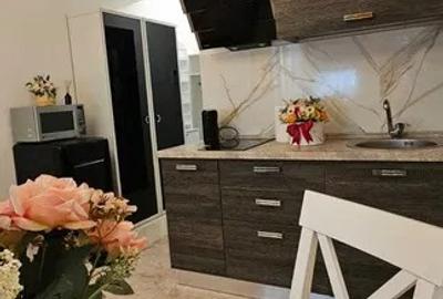 Apartament cu 1 cameră, zona Copou - Complex Exclusive Residence - 2