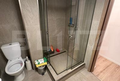 Apartament 170 mp, 2 niveluri, terasă 27 mp, zonă premium Plopilor - 14